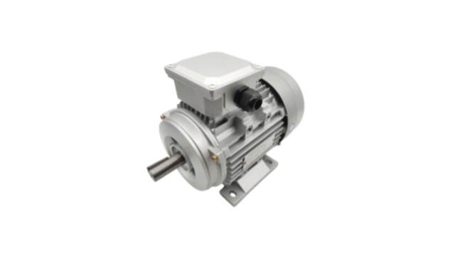 三相異步電動(dòng)機(jī)廠(chǎng)家電機(jī)產(chǎn)品