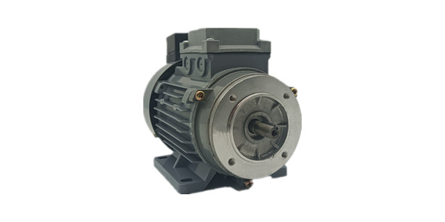 三相力矩電動機(jī)產(chǎn)品圖片