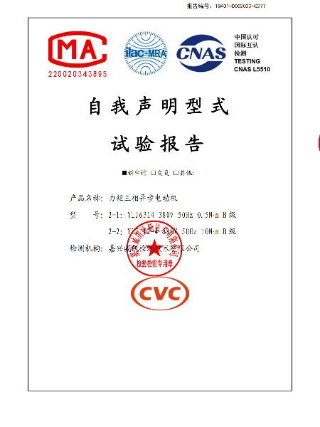 力矩三相異步電動(dòng)機(jī)3C自我申明