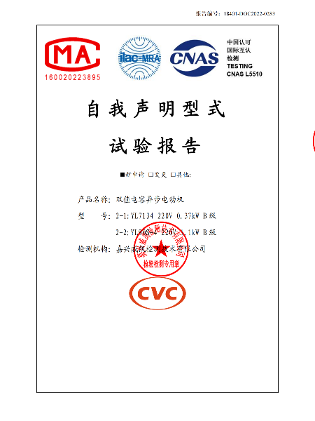 雙值電容異步電動(dòng)機(jī)3C自我申明