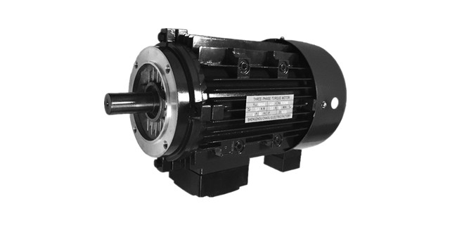 力矩電機(jī)生產(chǎn)廠家