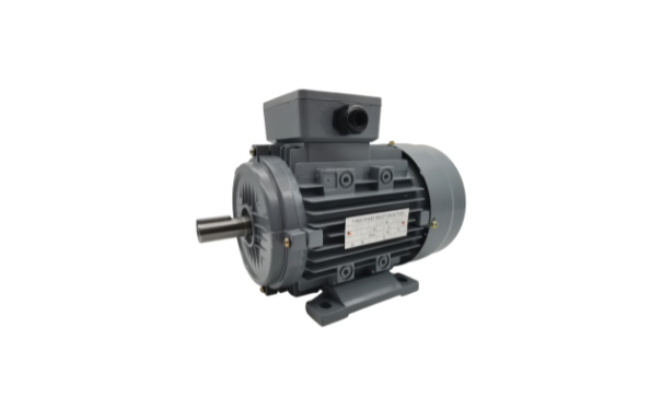 三相異步電動(dòng)機(jī)廠家產(chǎn)品