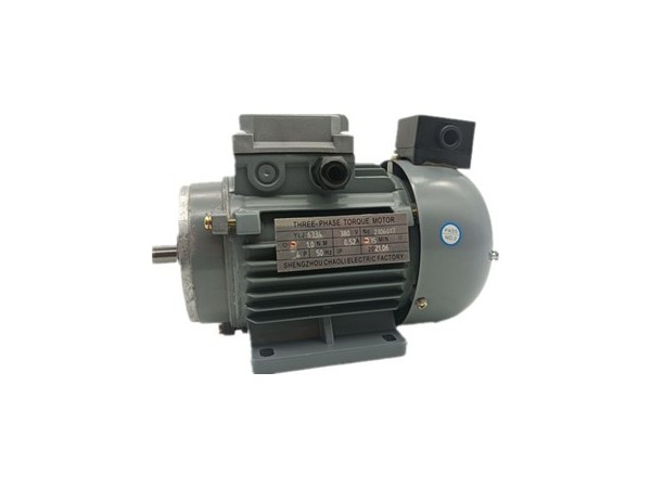 三相力矩電機(jī)廠家產(chǎn)品圖片