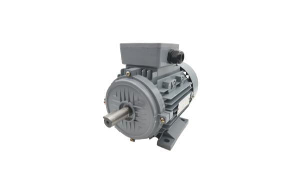 三相異步電動機(jī)廠家