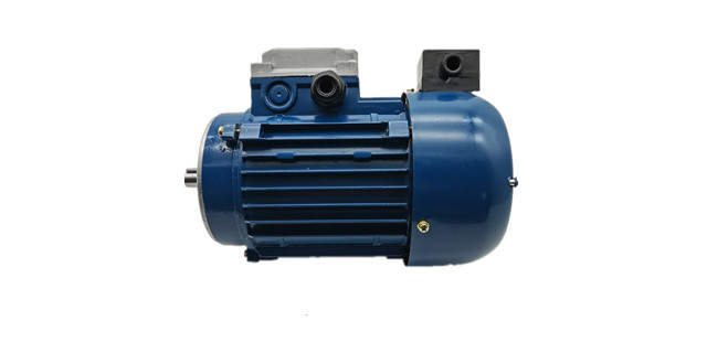 三相力矩電機(jī)廠家產(chǎn)品圖