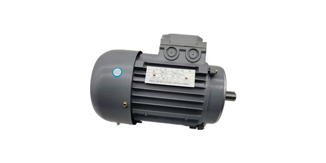 三相異步電動(dòng)機(jī)廠家