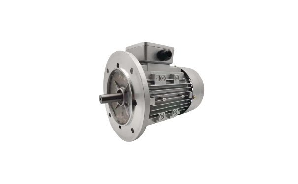 三相異步電動(dòng)機(jī)廠家產(chǎn)品