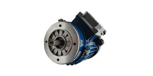 力矩電機廠家產(chǎn)品圖片