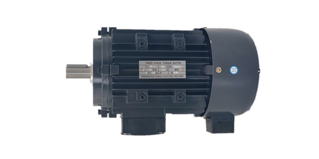 力矩電機(jī)廠家產(chǎn)品