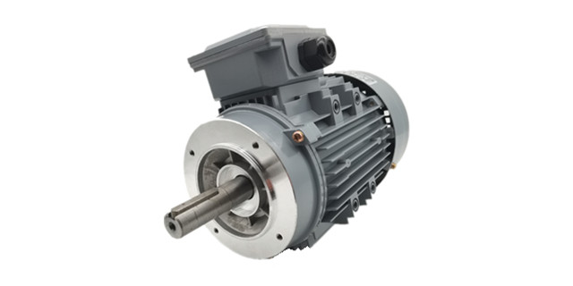 三相異步電動機(jī)廠家產(chǎn)品圖片