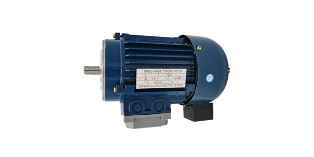 力矩電機(jī)廠家電機(jī)產(chǎn)品