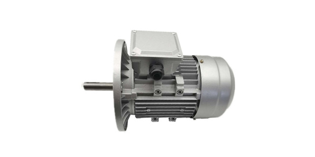 三相異步電動(dòng)機(jī)生產(chǎn)廠家-森力電機(jī)