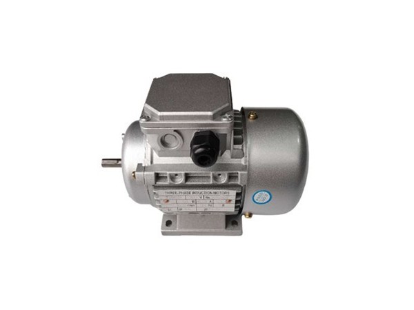 三相異步電動(dòng)機(jī)生產(chǎn)廠家