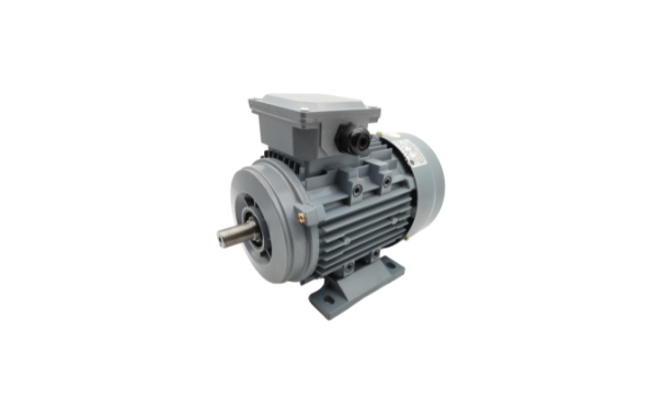 三相異步電動(dòng)機(jī)廠家產(chǎn)品