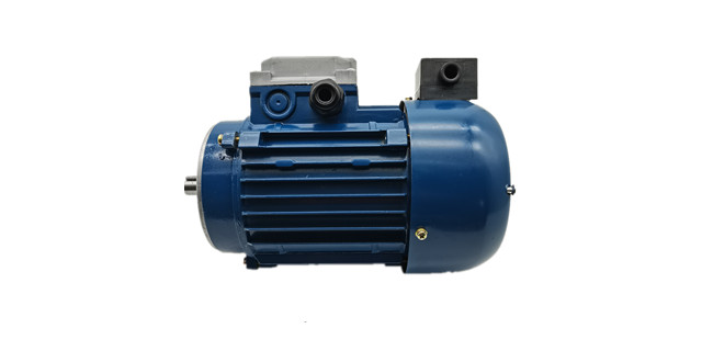 力矩電動(dòng)機(jī)廠家產(chǎn)品圖片