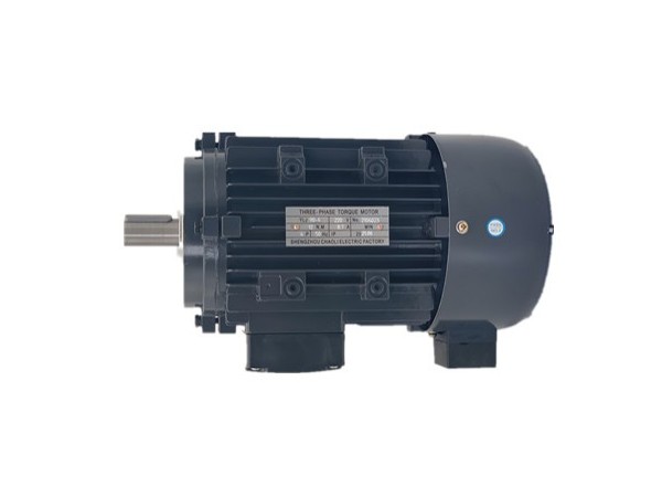 三相力矩電動(dòng)機(jī)廠家產(chǎn)品圖片