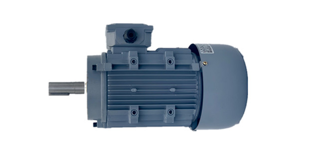 制動(dòng)電機(jī)廠家產(chǎn)品