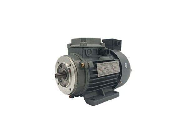 力矩電機(jī)廠(chǎng)家產(chǎn)品圖片