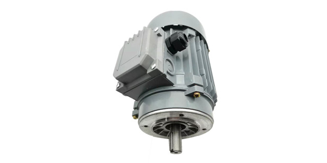 三相異步電動機廠家產(chǎn)品圖片