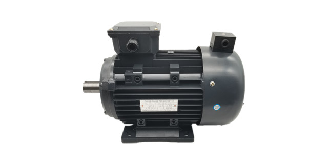 YLJ力矩電機廠家產(chǎn)品